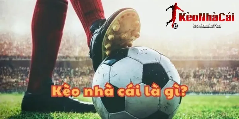 gioi thieu ve keo nha cai la gi tren keonhacai Giới thiệu về kèo nhà cái là gì trên keonhacai