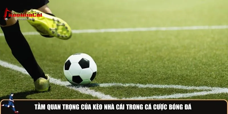 tam quan trong cua keo nha cai trong ca cuoc bong da Tầm Quan Trọng Của Kèo Nhà Cái Trong Cá Cược Bóng Đá